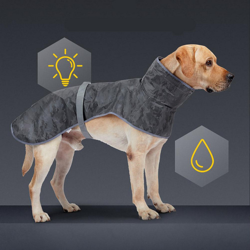 Lemmikloomade helkurmantel maagiliste kleebistega Veekindel, hingav ja ohutu reisimiseks mõeldud lemmikloomatooted väikestele suurtele koertele