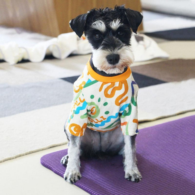 Priedušné bavlnené tričko pre domáce zvieratá s graffiti dizajnom, obojstranné tričko na jar