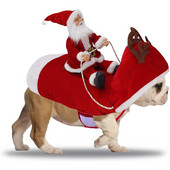 Коледни дрехи за домашни кучета Дрехи за езда на Дядо Коледа Коледен декор за домашни любимци Коледни разходки с кучета Екскурзии от първа необходимост