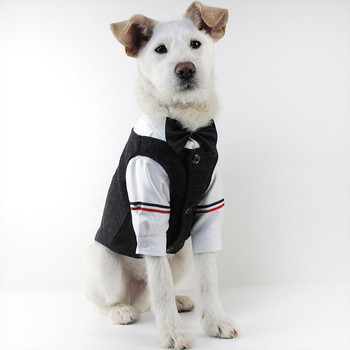 Σετ φόρεμα για πάρτι για σκύλους Χειμερινά ρούχα σκυλιών για μικρά σκυλιά Σετ 4 τεμαχίων μπουφάν Chihuahua Γαλλικό μπουλντόγκ για κουτάβι Ρούχα για κατοικίδια