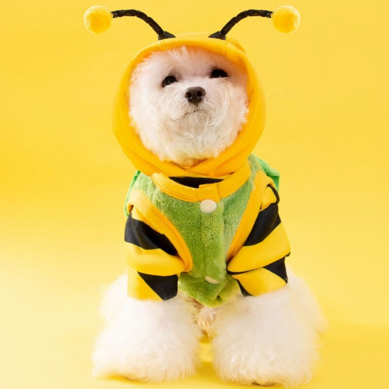 Koera riided Lemmiklooma koera riided kilpkonna koera kostüüm koera riided talve koera jope koera riided väikestele koertele koerte aksessuaarid