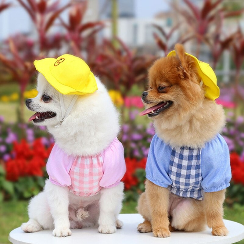 Kevadine lemmikloomakoer multifilm Võre seljakott Väike kollane pardisärk, mütsikomplekt Teddy Chihuahua Prantsuse buldogi kassi riided XS~XXL