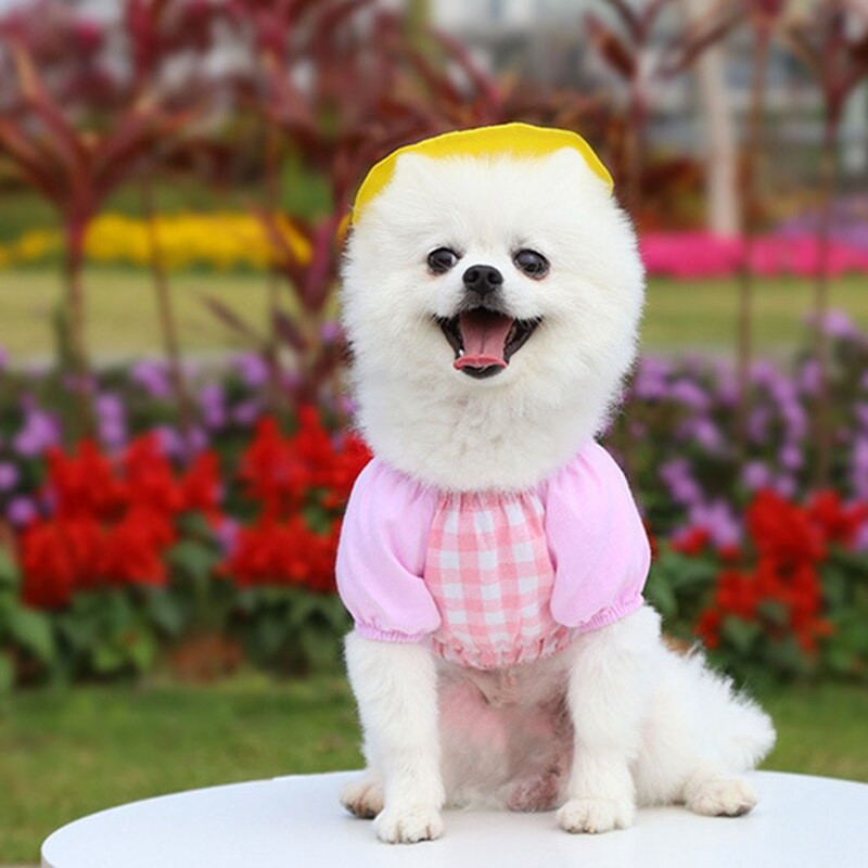 Kevadine lemmikloomakoer multifilm Võre seljakott Väike kollane pardisärk, mütsikomplekt Teddy Chihuahua Prantsuse buldogi kassi riided XS~XXL