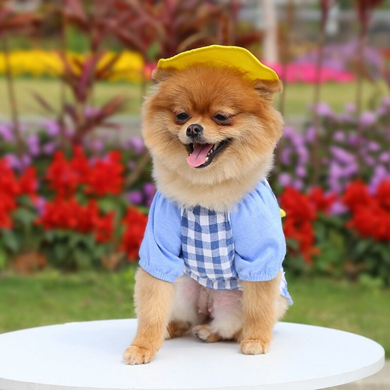 Kevadine lemmikloomakoer multifilm Võre seljakott Väike kollane pardisärk, mütsikomplekt Teddy Chihuahua Prantsuse buldogi kassi riided XS~XXL