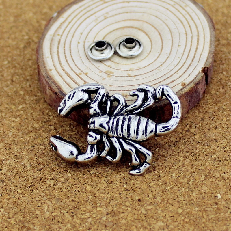 5 tk hõbedase tsingi sulamist Scorpion needid Punk Rock pealuu naelad ja naelad rõivaste jaoks Rõivaste needid nahast käsitöö jaoks