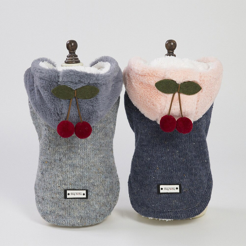 2020. aasta talvised koerariided paksu kapuutsiga väikese koera soojad riided lemmikloomakoertele kampsun puuvillane mantel kassi kutsikas chihuahua yorki kutsikas