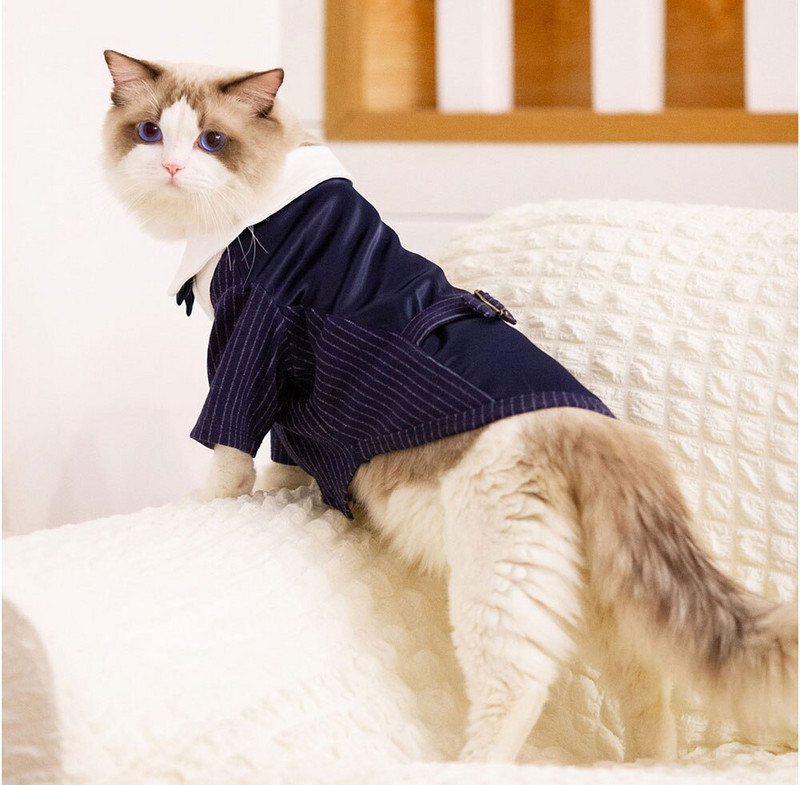 Koera pulmaülikond poisile koerariided pulmakleit kassimantel riided koerale ja kassile lemmiklooma pulmaülikond Bow Classics Romantic