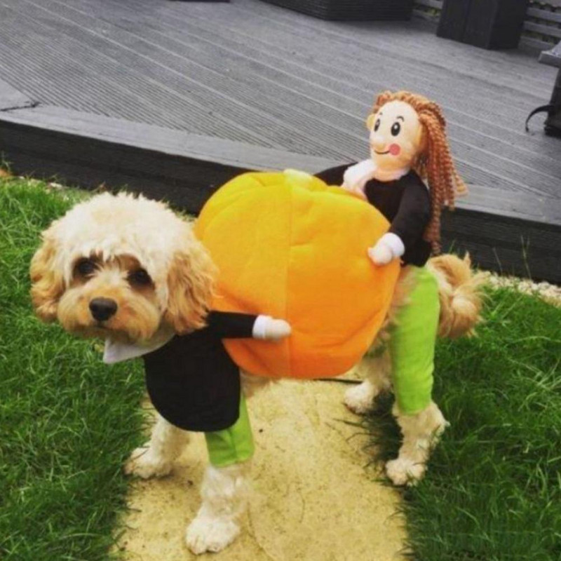 Stiilne lemmikloomakomplekt Cosplay Paranda õhkkonda Pullover Naljakas lemmiklooma cosplay riided