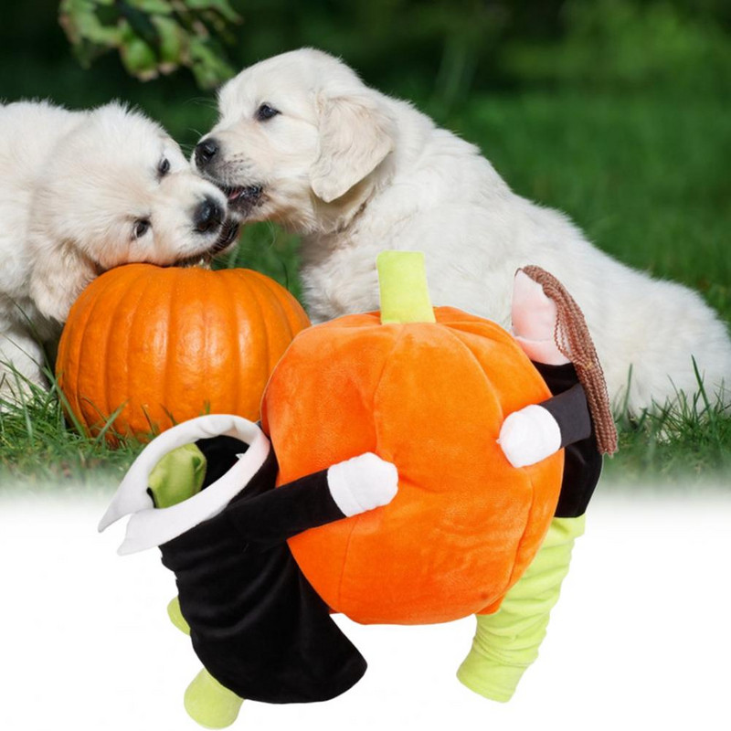 Stiilne lemmikloomakomplekt Cosplay Paranda õhkkonda Pullover Naljakas lemmiklooma cosplay riided