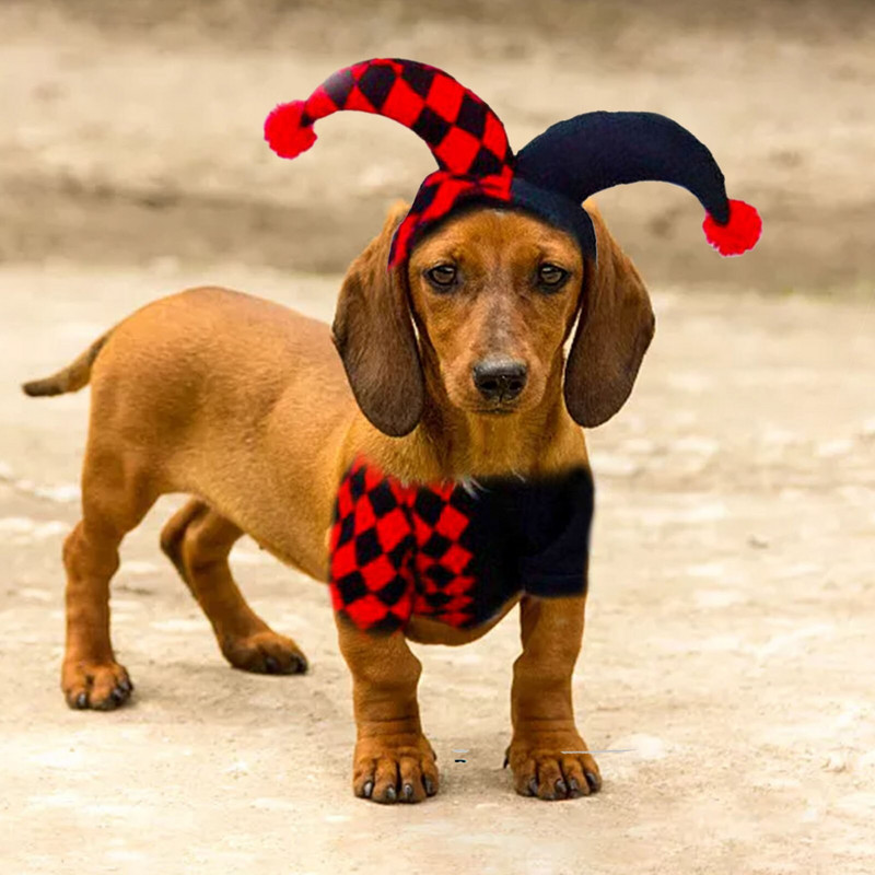 Jokkeri kostüüm armsale koerale kassile koerale kassile jokkeri kostüüm lemmikloomade Halloweeni jõulukostüüm kutsikakoerte peokosplay