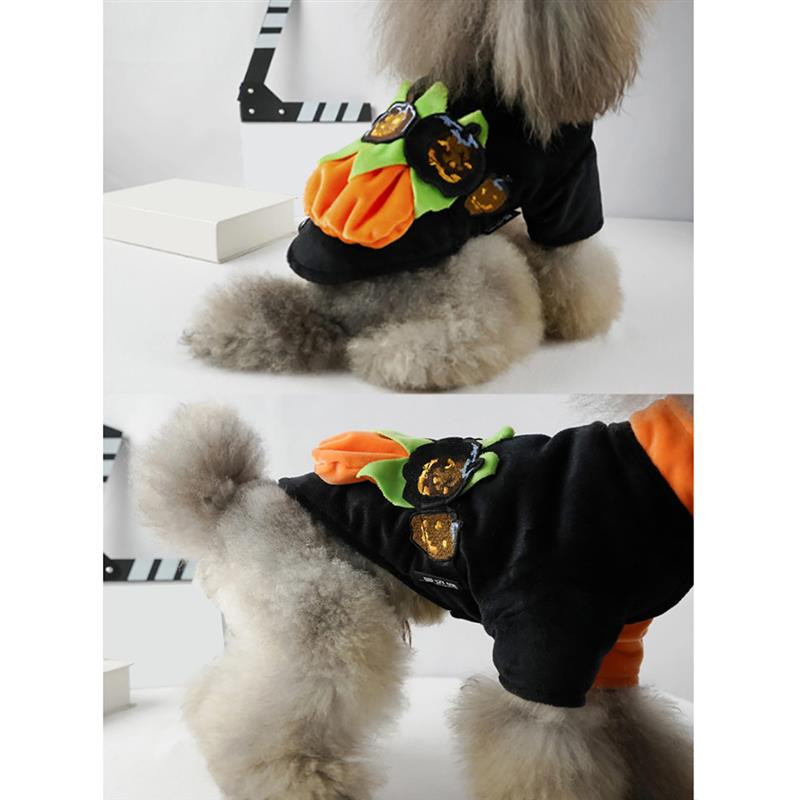 Nauji juokingi naminių šunų drabužiai Kūrybiniai mados festivalio vakarėliai Helovino kostiumai šuniukui Meškiukas Mielas šunelis Komiški aprangos komplektai šunų rinkiniai