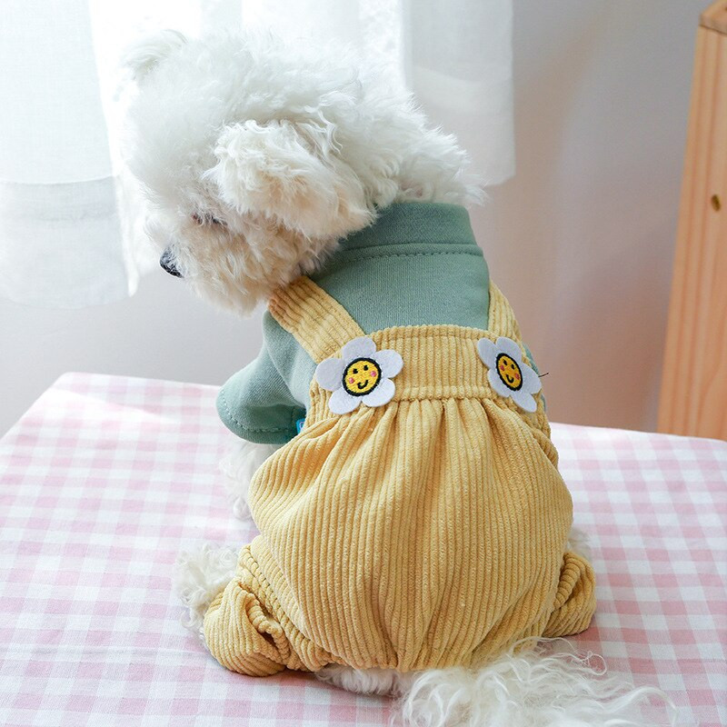 Дрехи за кучета Поширано яйце Панда Гащеризон Яке Fit Малко куче Кученце Домашен любимец Котка Пролет и есен Домашен любимец Мек костюм Дрехи за домашни любимци