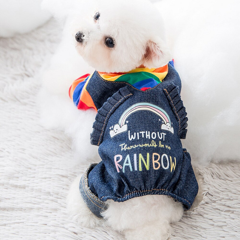 Koer Sügis ja Talv Uus Teddy Prantsuse buldog Chihuahua Väike Koer Kutsikad Õhukesed Vikerkaar Neljajalgsed Riided Kassile Soojad Lemmikloomariided