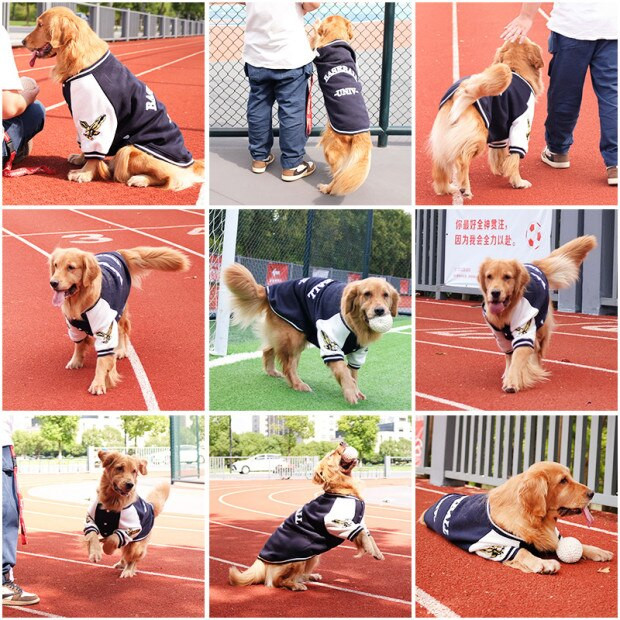 Haine pentru câini mari, toamnă și iarnă, uniformă de baseball pentru câini, jachetă pentru câini, Golden Retriever, paltoane pentru câini, labrador, haine pentru câini