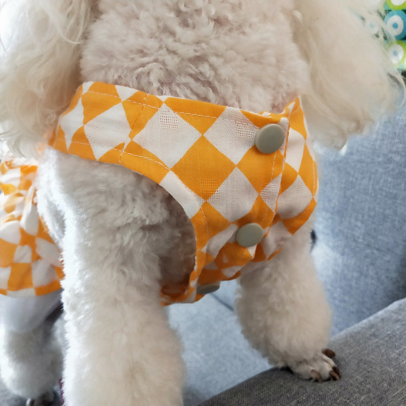 Letné šaty pre psov s pompéznou sukňou a medvedíkom Pomeranian pre malého psa, luxusné oblečenie pre psov pre syna a mačku