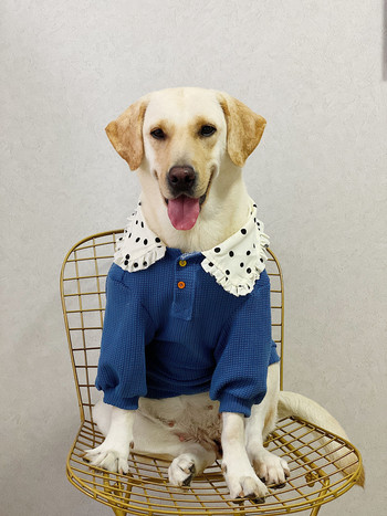 Μεγάλα ρούχα για σκύλους φθινοπωρινά και χειμερινά ρούχα για σκύλους Golden Retriever Labrador Husky Ρούχα για σκύλους Αξεσουάρ για σκύλους Προμήθειες για σκύλους