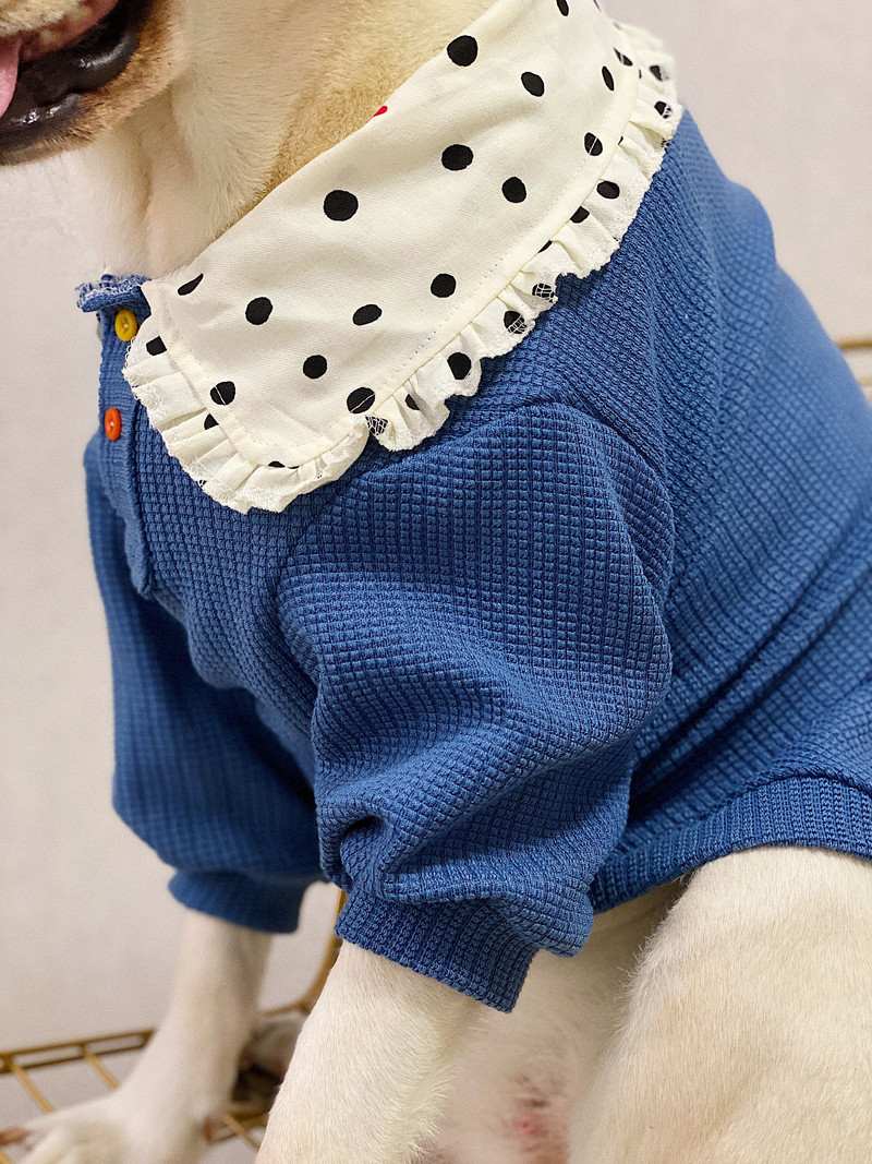 Oblečenie pre veľkých psov Jesenné a zimné oblečenie pre psov Zlatý retriever Labrador Husky Oblečenie pre psov Doplnky pre psov Potreby pre psov