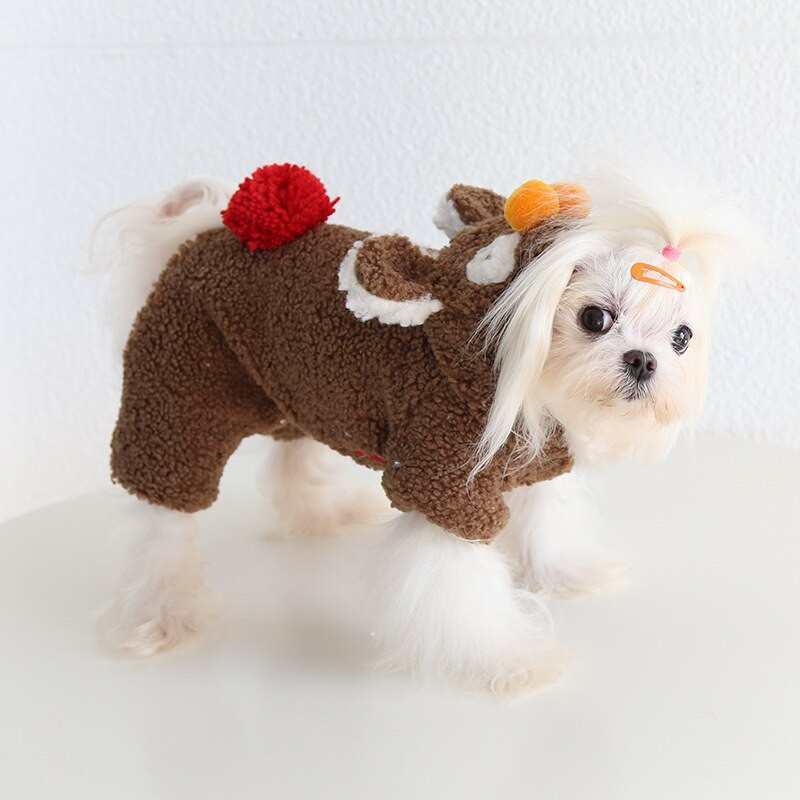 Oblečenie pre štvornohých na čínsky Nový rok 2022, jeseň/zima, oblečenie pre mačky, oblečenie pre domáce zvieratá, oblečenie pre psov, Halloween