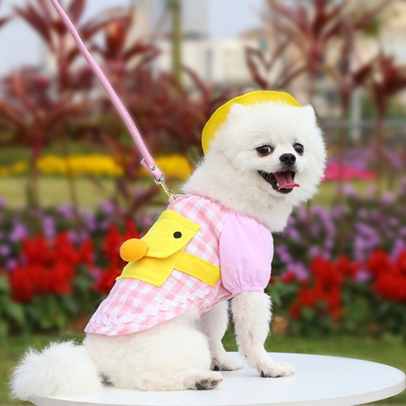 Uus multikas seljakott Lemmikloomariided Mood Väike kollane pardikoera ruuduline kampsun kassile müts Ülikond Lemmiklooma kevadsuvine ja sügisene ülikond