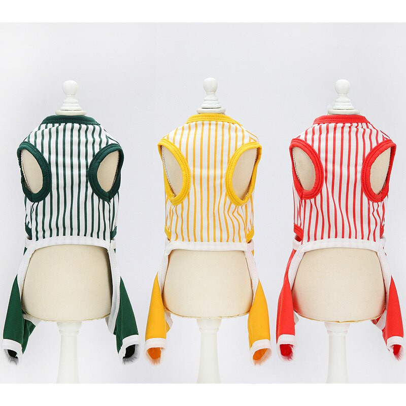 Koerariiete trend vertikaalne splaissimine nelja säärega püksid lemmikloomariided väikese ja keskmise koera kevadsuvi 2021 uus toode