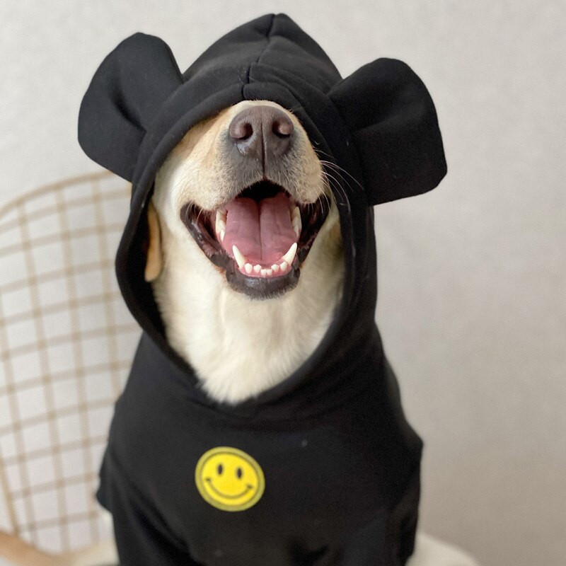 Dideli šunų drabužiai rudeniui ir žiemai plius Velvet šunų megztinis ruduo ir žiema plius aksominis megztinis šunų drabužiai šunų priedai