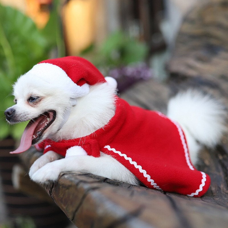 Jõulud Väike koer Jõuluvana Cape & Hat Doggie Festivali ülikonnakomplekt Lemmikloom Merry jõuluriie Fluffy Red Xmas Sündmuse soodustused