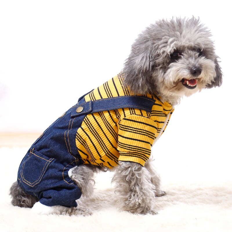 Dviejų sluoksnių dygsniuotas džinsinis kostiumas augintiniui Gražus šiltas ir patogus šuniuko rūbai Stori džinsai Šnaucerių drabužiai