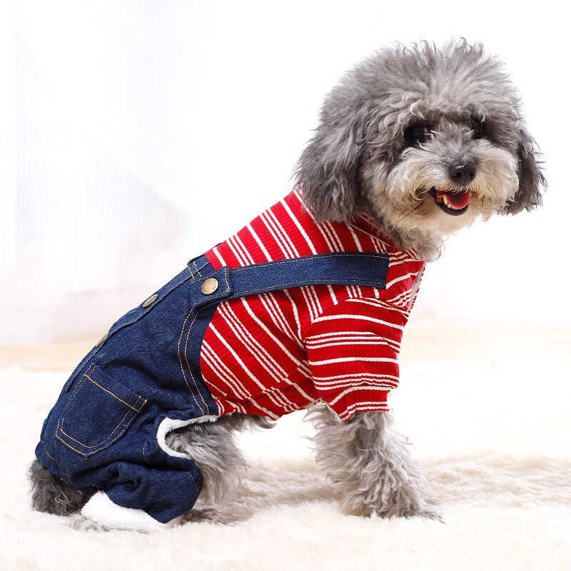 Dviejų sluoksnių dygsniuotas džinsinis kostiumas augintiniui Gražus šiltas ir patogus šuniuko rūbai Stori džinsai Šnaucerių drabužiai