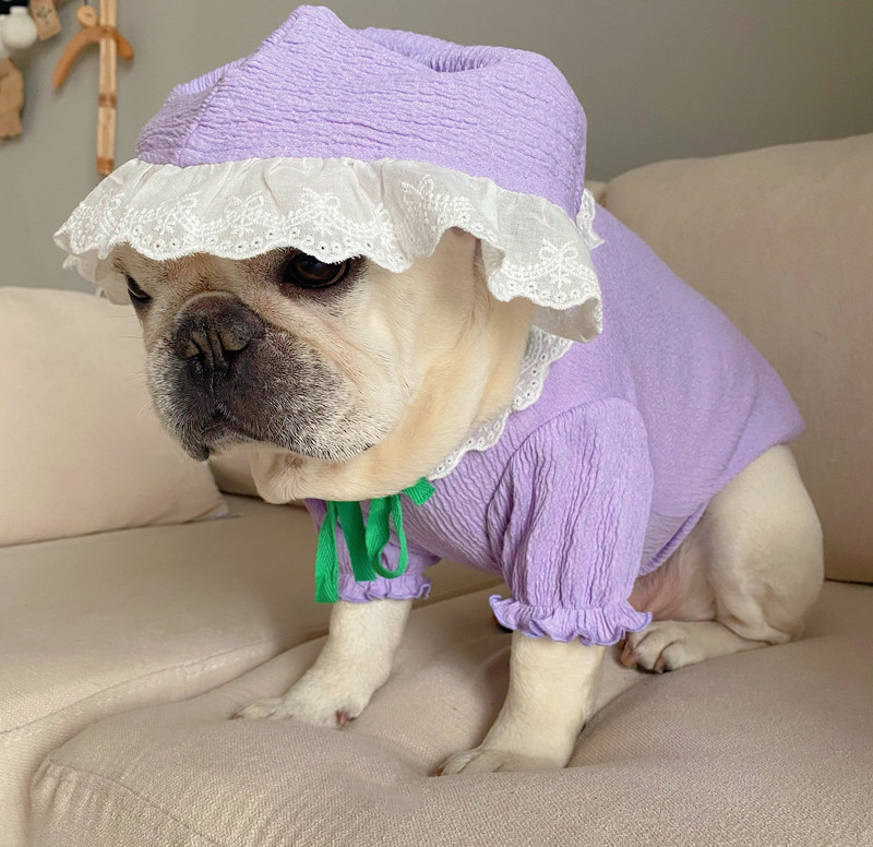 MPK uue seeria koerariided lillad komplekt kevadsuvised riided pitsriided kaunid naiste ülikonnad