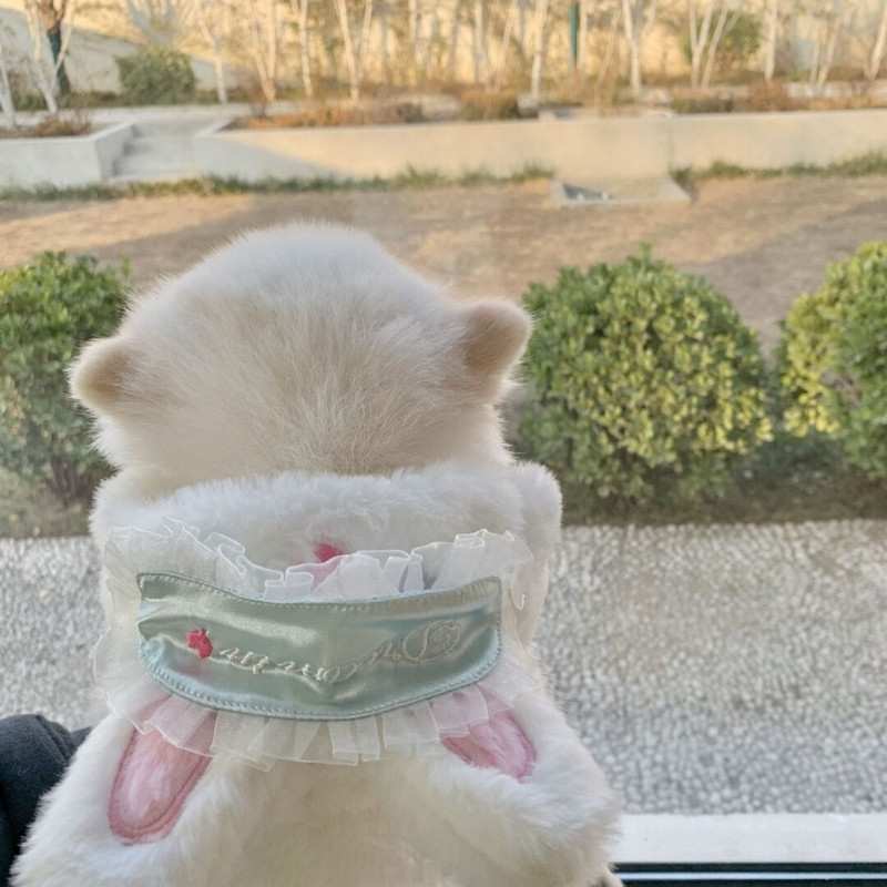 Плюшени заешки уши Дрехи за домашни любимци Котка Топло палто през есента и зимата Заешко куче плюс плюшено памучно палто