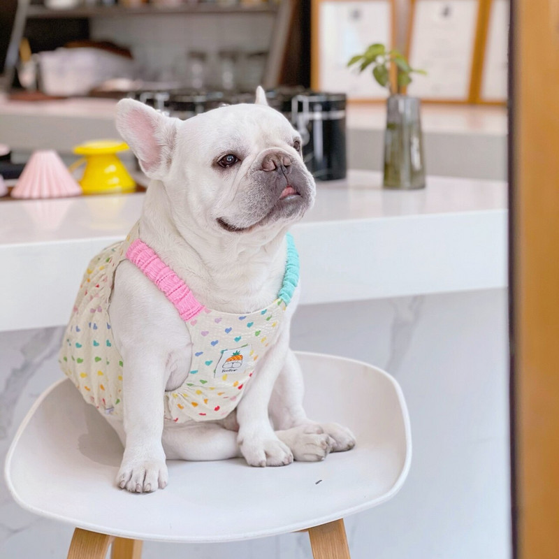 MPK uue seeria koerte kevad- ja suvekleit seelik hingav traksid Hingav armas tutu seelik