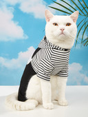 1. Mikiny s kapucňou pre psov, overal pre malého psa, mačku, šteniatko, kamienkovú korunu, mäkký zamat, zimné pyžamo s kapucňou, tepláková súprava, športové oblečenie J