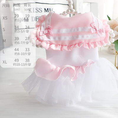 Koerariided Kevad- ja Suvised õhukesed kasside printsesskleit hulgimüük Pengpeng Väikese koera Teddy Lemmikkoera riided