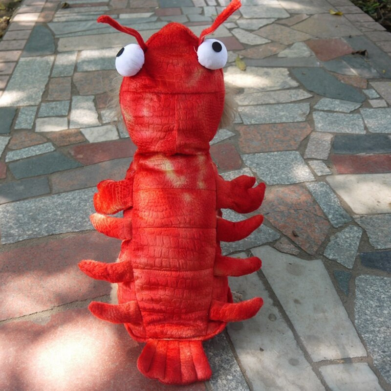 Zimné oblečenie pre psov, halloweensky kostým homára, mačka, cosplay, vianočný oblek, maškarný kostým pre psov, oblečenie pre domáce zvieratá, vtipné oblečenie, francúzsky buldoček