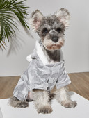 Jesenné a zimné oblečenie pre malé domáce zvieratá plus zamatové teplé plyšové oblečenie s kapucňou pre roztomilé domáce zvieratá so štyrmi nohami