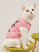 Tričko pre psa, domáce zvieratá, prázdne látkové oblečenie pre psa, priedušné oblečenie pre psa, hladké tričko s krátkym rukávom, mäkké tričko pre psa, oblečenie pre psa a mačku, oblek pre psa