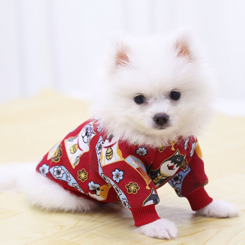 Rochie pentru câini Fusta Modele pentru cuplu Câine Pisică Haine pentru animale de companie Pulover de toamnă și iarnă Catifea subțire Articole pentru câini Mici Mijlocii XS-2XL