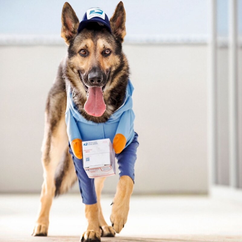 Halloween Pet Dog Transformation Courier Funny Suit Oblečenie Nastaviteľný Cosplay Kostým Párty Set Román Cat