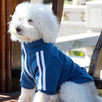 Preppy Pet Hoodie Teddy Bicarbonate Schroner Ricokee Clothing Sport Retro Dog Clothing Replacement Hair