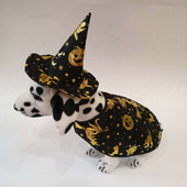 Klobúk pre domáce zvieratá, pes, halloweensky magický klobúk a oblečenie, tekvicový klobúk, šál pre psa, klobúk, oblek, 2 sady/veľa