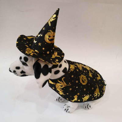 Klobúk pre domáce zvieratá, pes, halloweensky magický klobúk a oblečenie, tekvicový klobúk, šál pre psa, klobúk, oblek, 2 sady/veľa