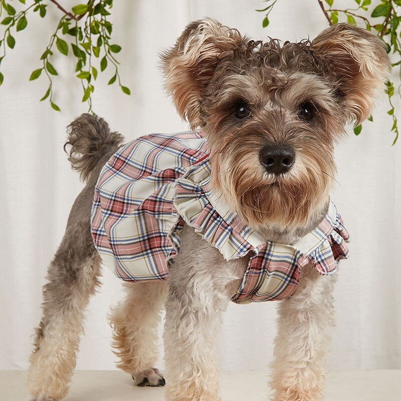 Roztomilý kreslený princezná so psom Šaty pre šteňatá Tutu sukňa Vesta Oblečenie na narodeniny