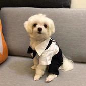 Pet Gentleman šunų drabužių kostiumas vestuvių rinkinys S-Xxl marškinėliai Bowknot šunų suknelė Didelio dydžio kalėdinis kostiumas katėms vakarėlio kostiumas