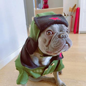 Pet Dog Φθινοπωρινό και Χειμώνα Νέο αστείο εξερχόμενο καπέλο χοντρό κοστούμι Schnauzer Teddy ρούχα