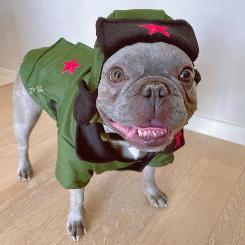 Pet Dog Φθινοπωρινό και Χειμώνα Νέο αστείο εξερχόμενο καπέλο χοντρό κοστούμι Schnauzer Teddy ρούχα