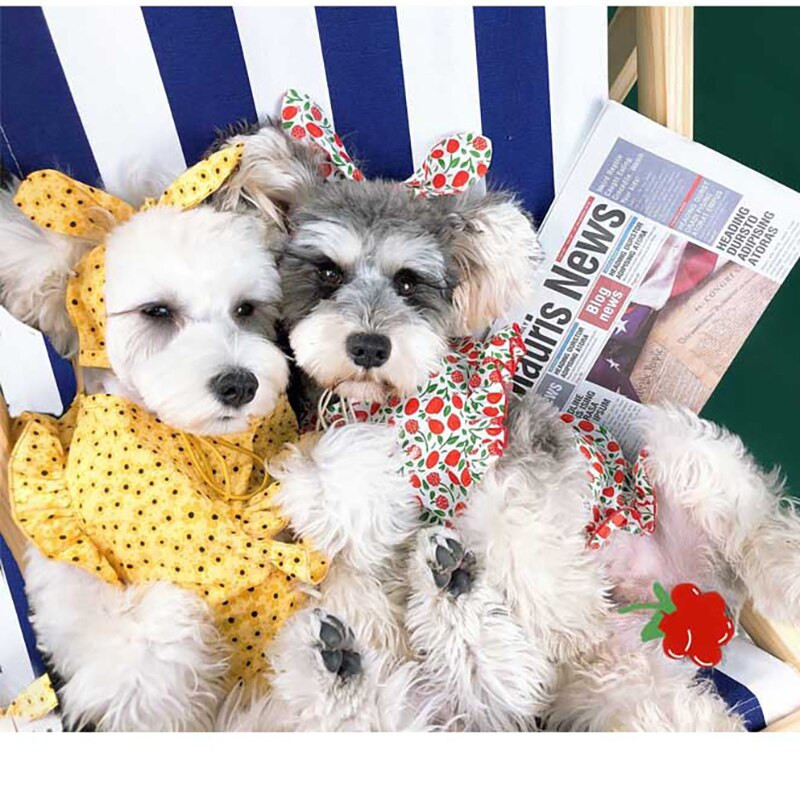 Uued lillelised kleidid lemmikloomadele suveriided väikestele koertele kassidele seelik lemmikloomadele šnautser Akita mops riided juuksepaelaga