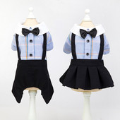 Στολή για κατοικίδια Άνοιξη και Καλοκαίρι Νέα Στολή Σκύλου Κοστούμι Ζευγαριού Φοιτητική Στολή Teddy Bibear Pome