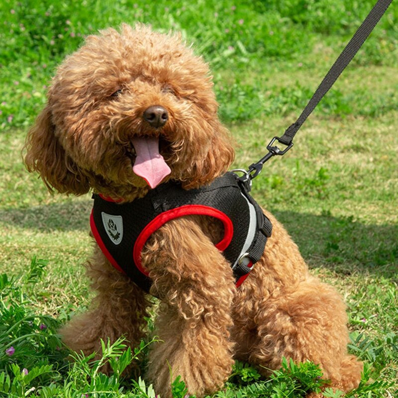 Каишки за домашни кучета Жилетка за гърди Комплекти колани Регулируема каишка със светлоотразителна жилетка за средно малко куче разходка на открито