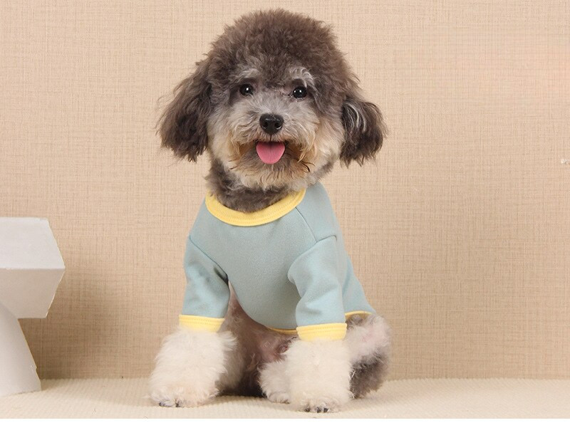 Haine pentru câini Macaron Culoarea asortată pentru câine mic cu eșarfă de lână Îmbrăcăminte pentru pisici două picioare