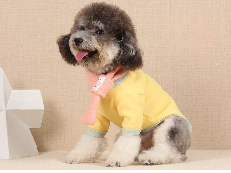 Haine pentru câini Macaron Culoarea asortată pentru câine mic cu eșarfă de lână Îmbrăcăminte pentru pisici două picioare
